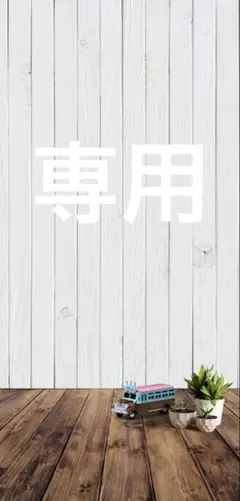 専用⭐︎kiboer 超音波トリートメントアイロン