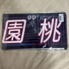 大園桃子　白石麻衣 卒業コンサート 個別マフラータオル