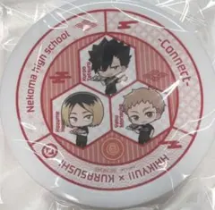 【即日発送】音駒高校　くら寿司　ハイキュー　お皿