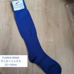 FLORIDA WIND サッカーソックス 青 22～24cm