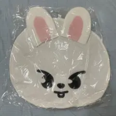 新品　stray kids スキズ　リービット　リノ　うちわケース うちわカバー