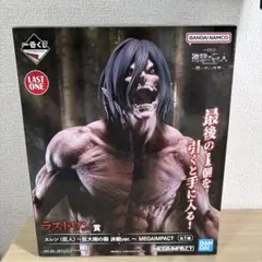 一番くじ　進撃の巨人〜壁の外の世界〜　ラストワン賞　エレン