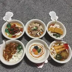 リアルキッチンシリーズ 絶品大和うどんBC vol.2 コンプリートセット