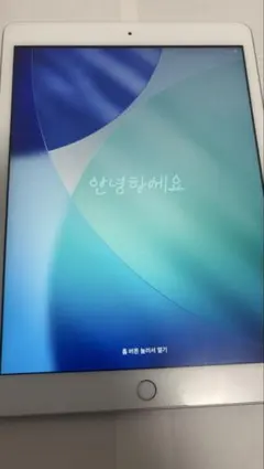 z*l様 Apple iPad （第8世代、128GB）シルバー