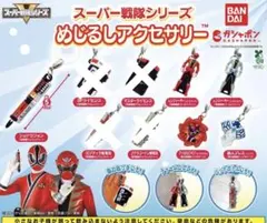 スーパー戦隊シリーズめじるしアクセサリー5点セット