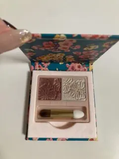 ポール&ジョー　アイカラーデュオ02