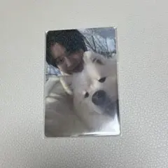 ギョンミン　TWS トレカ　Last Bell weverse サモエドトレカ