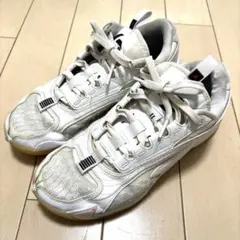 Item thumbnail for item 100672de-1473-4c83-b514-5ca26874bde7