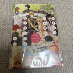 ある日、お姫様になってしまった件について　漫画　13巻