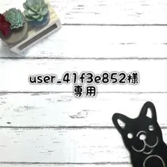 ■user_41f3e852様 専用ページ■ リクエスト2点まとめ商品