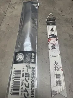 千葉ロッテマリーンズ　友杉　ボンフィン