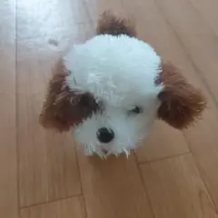 犬