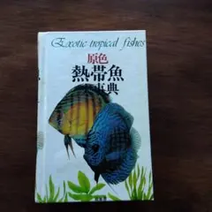 Item thumbnail for item 92acc29a-a363-4c10-bd2d-4f1fdd531bbe