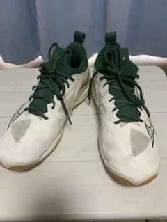 Mizuno ウェーブモーメンタム3 27.0 ホワイト/グリーン