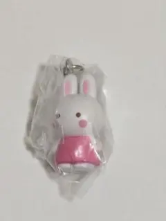 サンリオキャラクターズ めじるしアクセサリー チアリーチャム