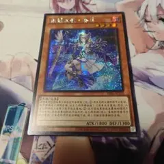 ティアラメンツ シェイレーン 中国語版 アジア