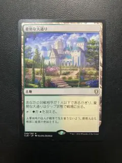 MTG 陽景学院の使い魔 Sunscape Familiar Foil 日本語版 - メルカリ