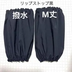 Item thumbnail for item 3dcfc67e-01d1-4082-a150-b1add88efc95