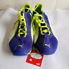 Item thumbnail for item 3ee5c1a9-76ec-451f-91f1-64ec9cbb2c2d