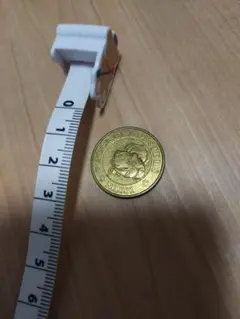 SAZ様 リクエスト 2点 まとめ商品