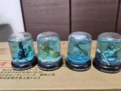 スノードーム