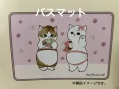 Item thumbnail for item 85dba7cf-6556-4384-8696-81ea8138c45f