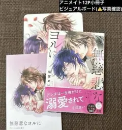 桜賀めい ドラマCD BLCD まとめ売り mqdefault.jpg