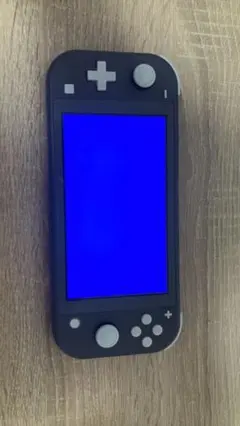 【ジャンク品】Nintendo Switch Lite 本体 グレー
