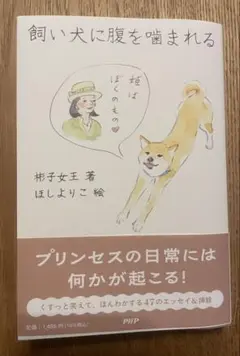 Item thumbnail for item 935cd1ba-de10-4af5-be13-5d29633e8ab9