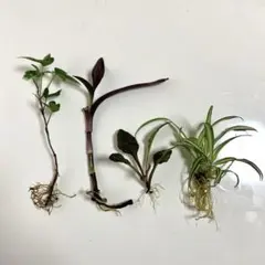 yuki_即購入ok♡様 リクエスト 2点 まとめ商品