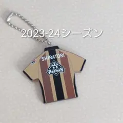 Item thumbnail for item 11616134-dce3-49e4-8c28-b12183854827