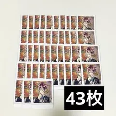 あくねこ フェネス ぱしゃこれ 悪魔執事と黒い猫