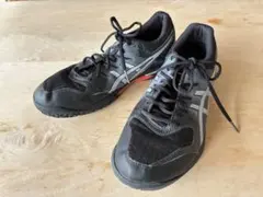 Item thumbnail for item c7d68cea-bf9e-41e0-b7a2-1f6eaaba117e