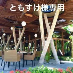 ともすけ様専用