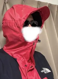 THE NORTH FACE GORE-TEXマウンテンパーカー レッド希少美品