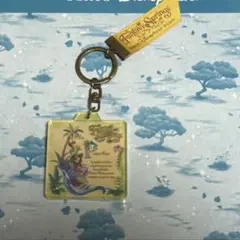 ファンタジースプリングス　ピーターパン キーチェーン