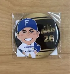 北海道日本ハムファイターズ 田中正義選手 缶バッジ