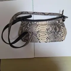 COACH コーチ ショルダーバッグ 2WAY ハンドバッグ パイソン柄 - メルカリ