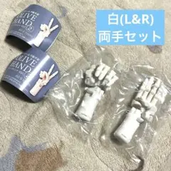 1/3 SCALE 可動手首 オリーブハンド Vol.2 ボーンホワイト 両手