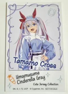 ウマ娘　タマモクロス　インスタントフォト風イラストシート　アトレ 秋葉原