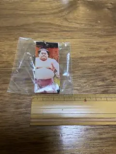 大相撲ガチャ 相撲