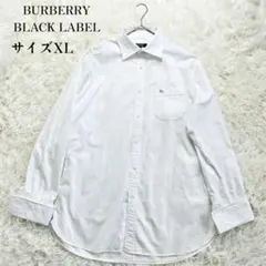 BURBERRY バーバリー ボタンダウン シャツ ホース柄 サイズXL