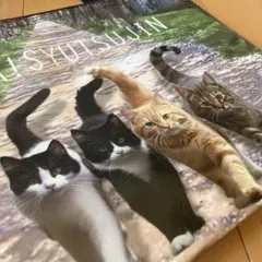 大きめ　保冷バッグ　ネコデザイン