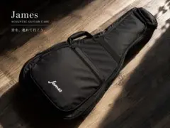 2026年最新】James ギターケースの人気アイテム - メルカリ