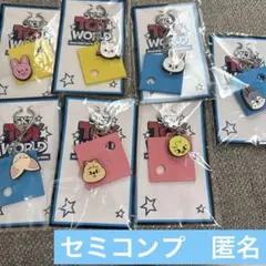 Stray Kids スキズ オンラインくじD賞 セミコンプ