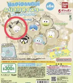 はぴだんぶい～なりきりオイスター～ めじるしアクセサリー　ポチャッコ