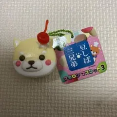 豆しば三兄弟　マカロンマスコット　キーホルダー