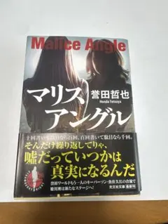 マリスアングル