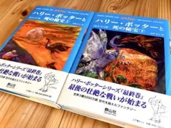 トム様 リクエスト 2点 まとめ商品