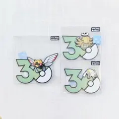 ポケモン30周年 マグネット中国限定 エレズン ストリンダー 3点セット